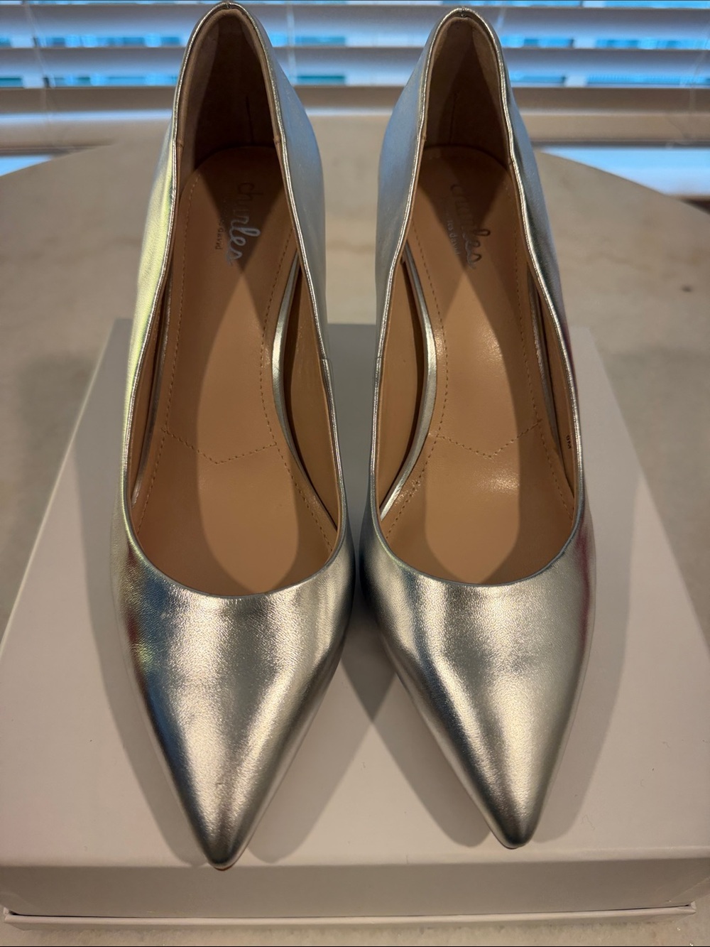 Charles David Metallic Silver Pointed-Toe Pumps